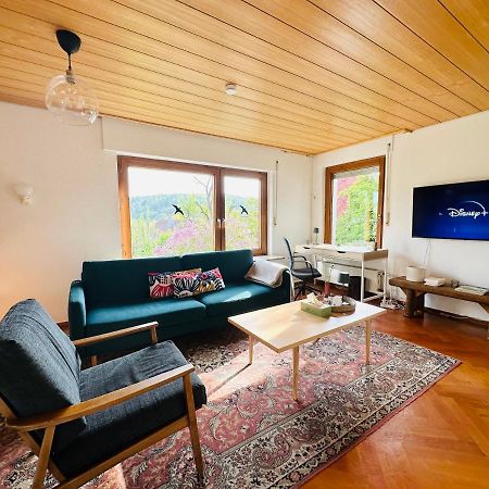 B17 Two Bed Apartment West Town Heidenheim an der Brenz Luaran gambar